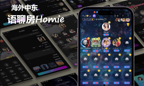 海外社交语聊房Homie实现案例